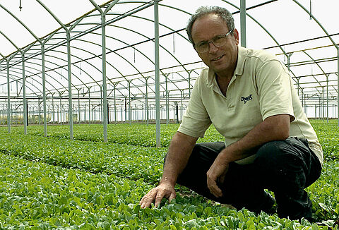 Un rendimiento superior de mi cultivo logrado desde el interior de mi suelo