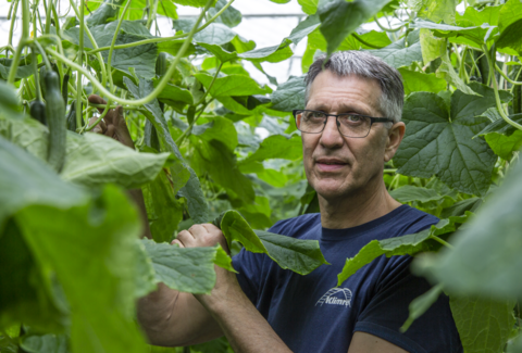 Spidex Vital cumple sus promesas
