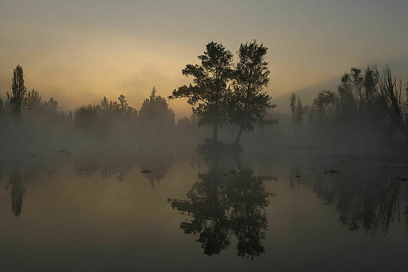 Producción agrícola en chinampas