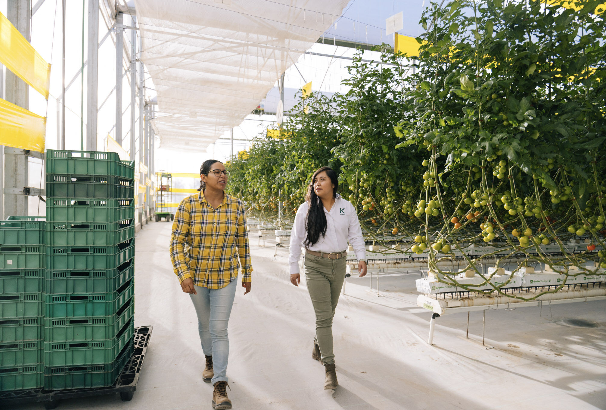 Acompañar al productor en tiempos de incertidumbre para construir confianza y visión a largo plazo