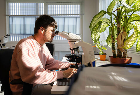 Últimos avances en I+D sobre la nueva cepa de Myzus persicae