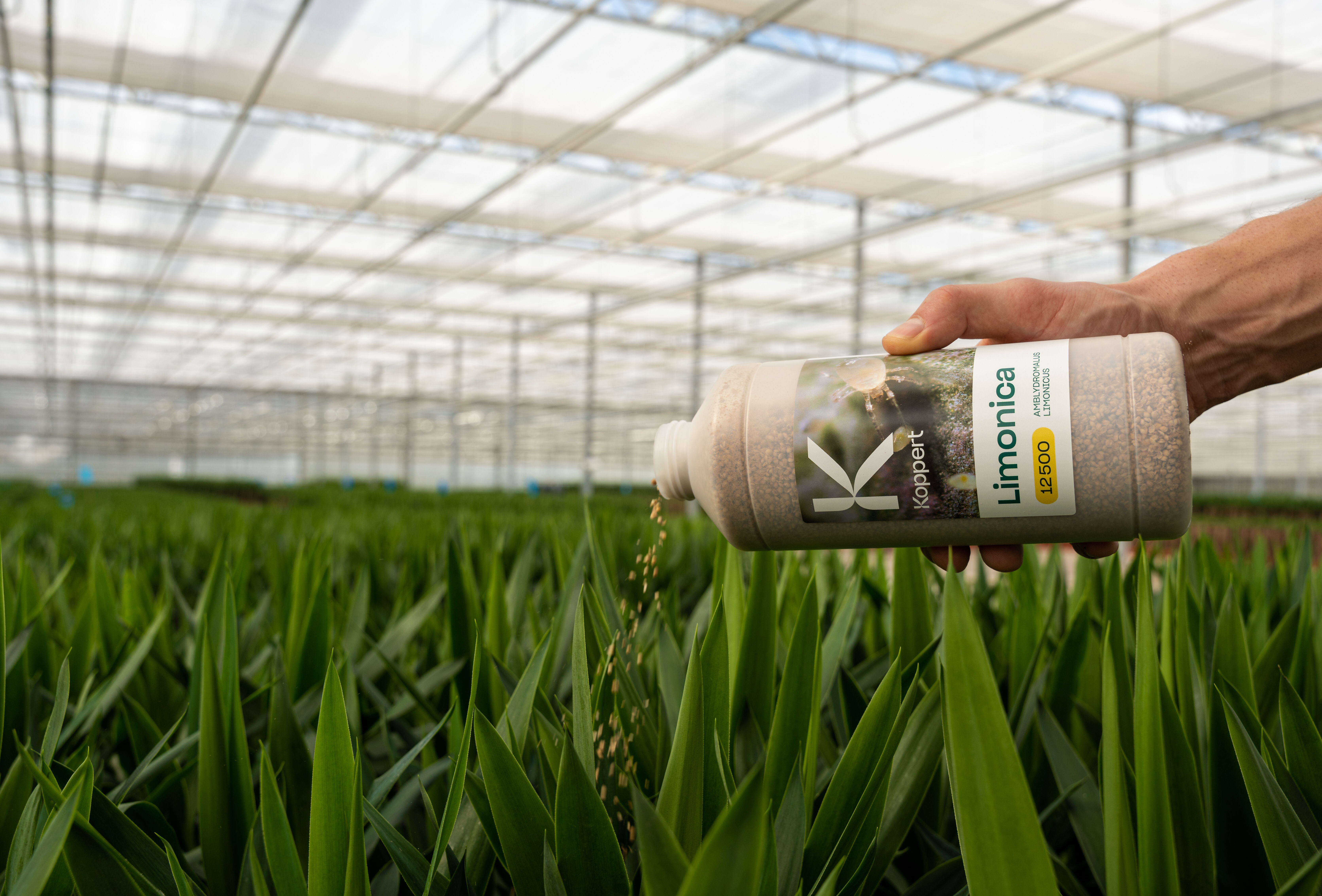 Reducimos nuestra huella de carbono botella por botella