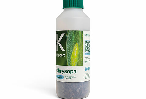 Inspirado en la naturaleza: un nuevo diseño con la calidad de siempre