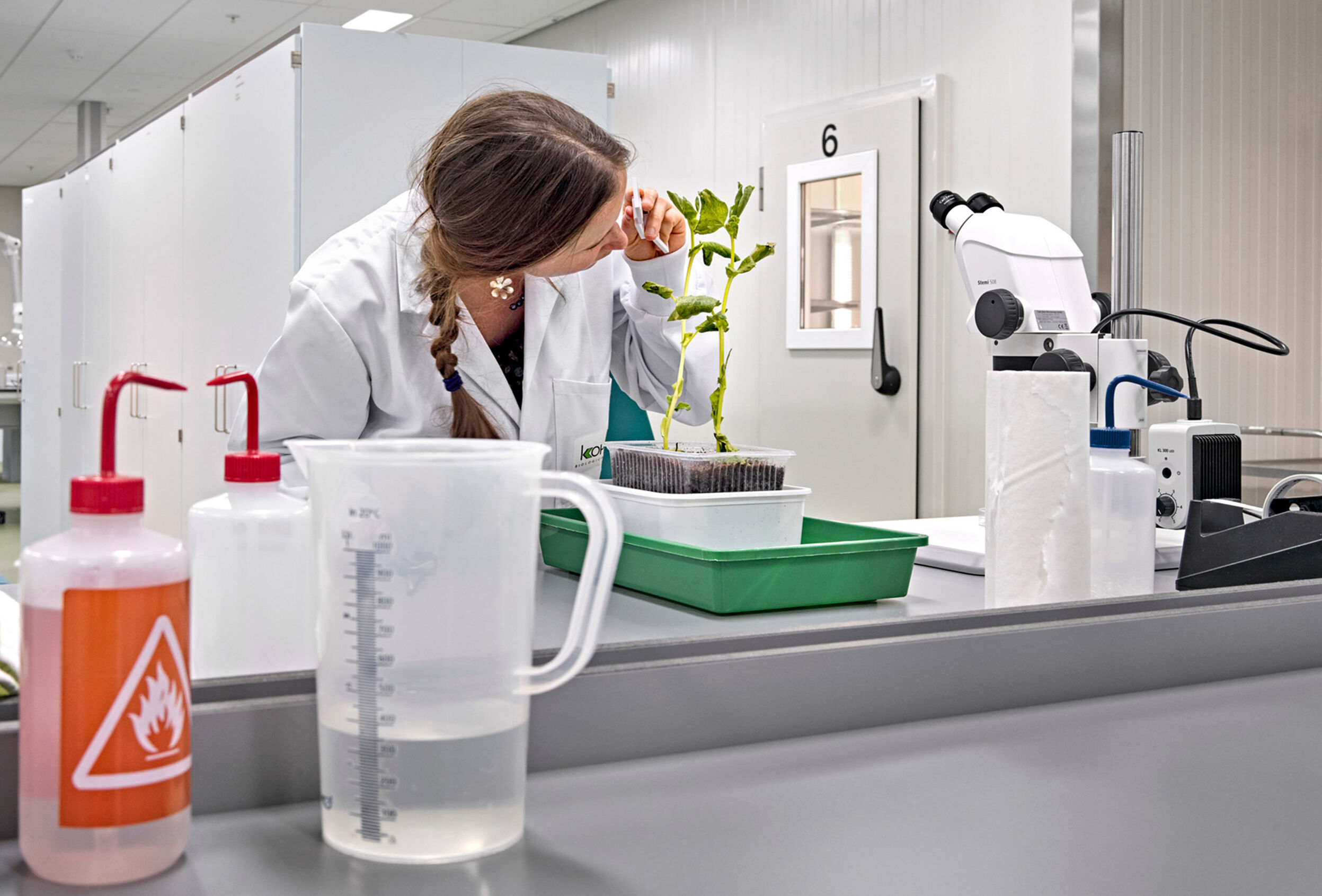 Nuevo año, nuevas innovaciones biológicas para tu cultivo