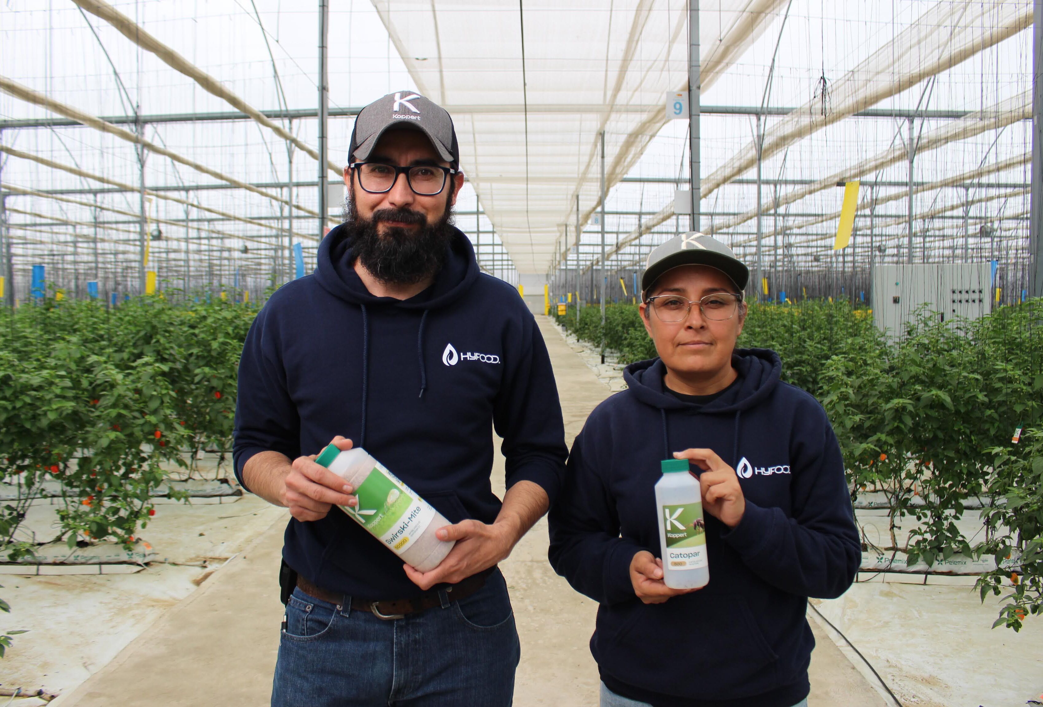 HyFood lleva al habanero a otro nivel con el control biológico