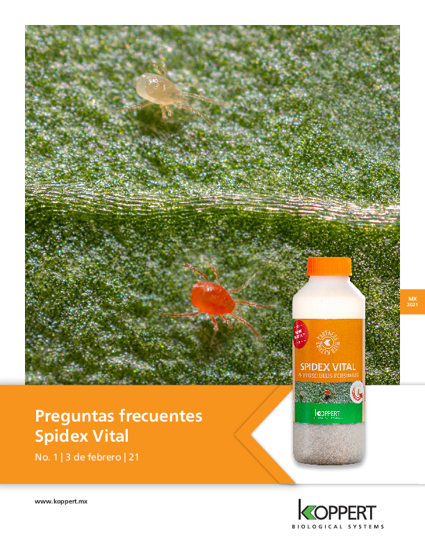 Preguntas frecuentes de Spidex Vital