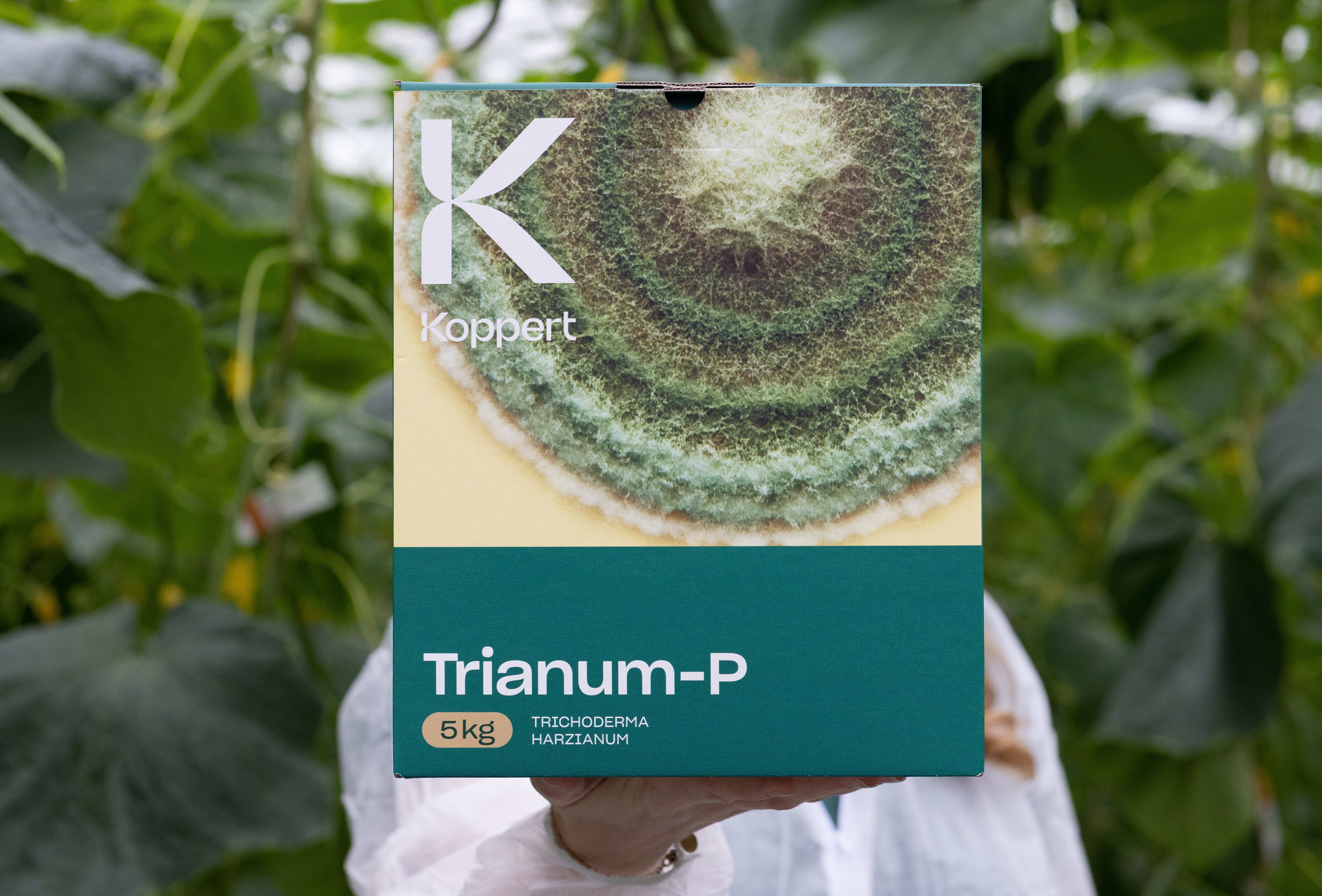 Protección superior al mejor precio