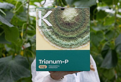 Protección superior al mejor precio