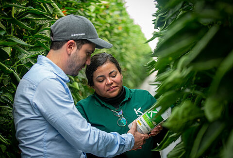 Cinco ventajas del manejo integrado de plagas