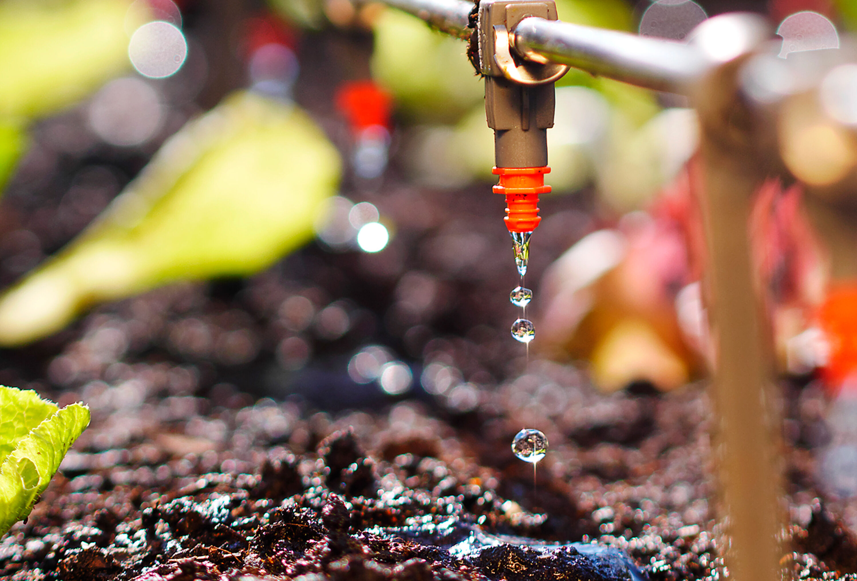 Ahorrar agua y reducir la contaminación de los acuíferos es posible con Trianum de Koppert