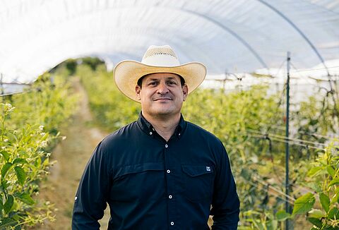 Un encuentro con una solución inesperada: la historia de Fernando Rodríguez y los ácaros depredadores de Koppert