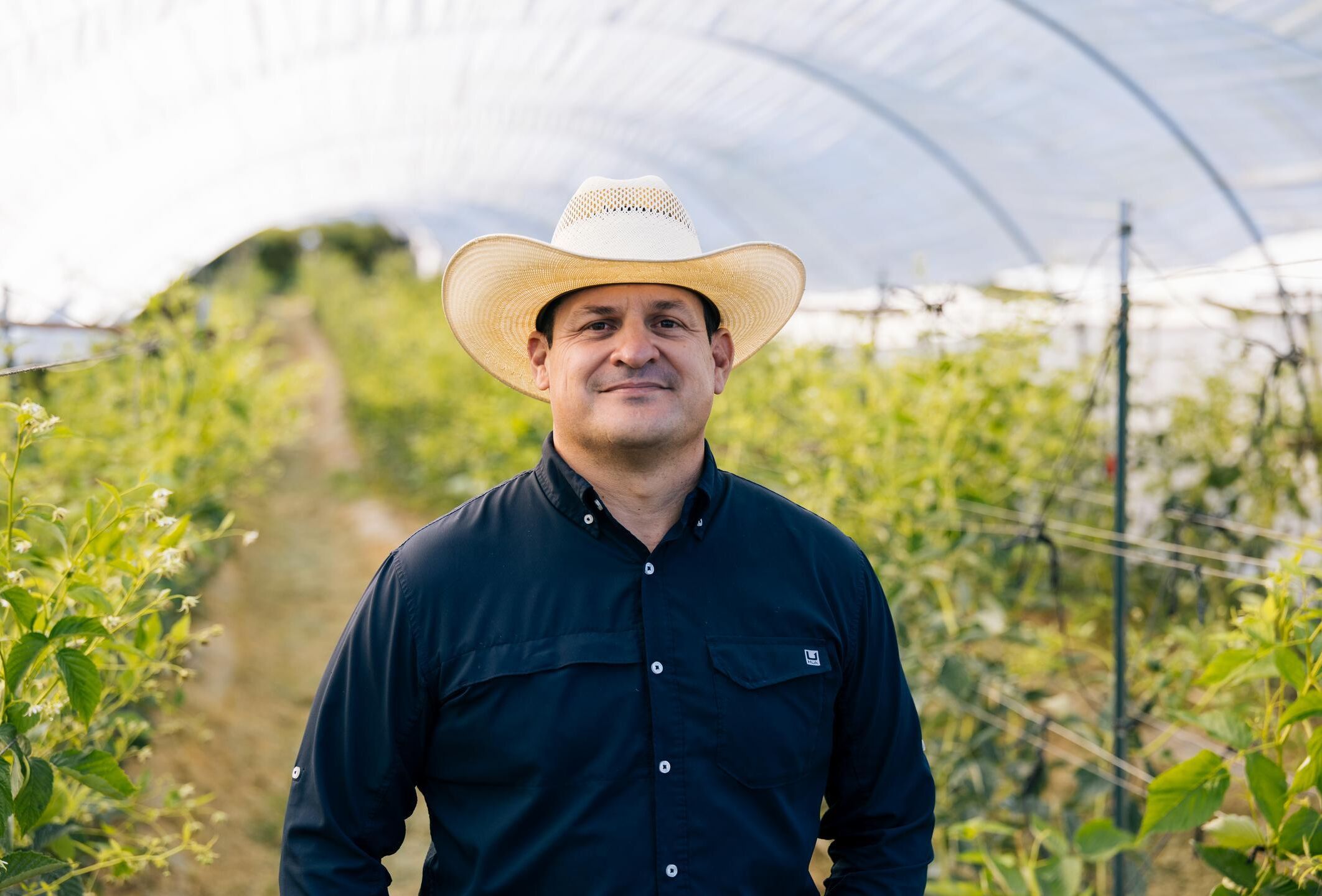 Un encuentro con una solución inesperada: la historia de Fernando Rodríguez y los ácaros depredadores de Koppert