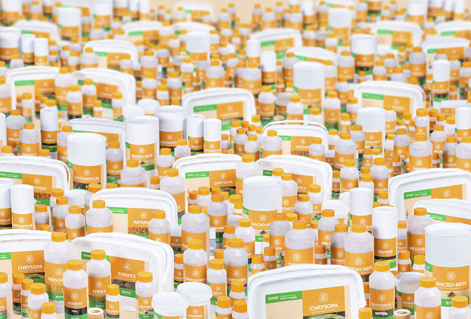 Funcionalidad: la principal característica de la nueva imagen de la línea de enemigos naturales producida por Koppert