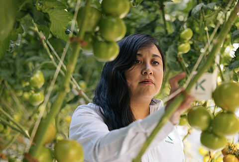 Técnico en entrenamiento