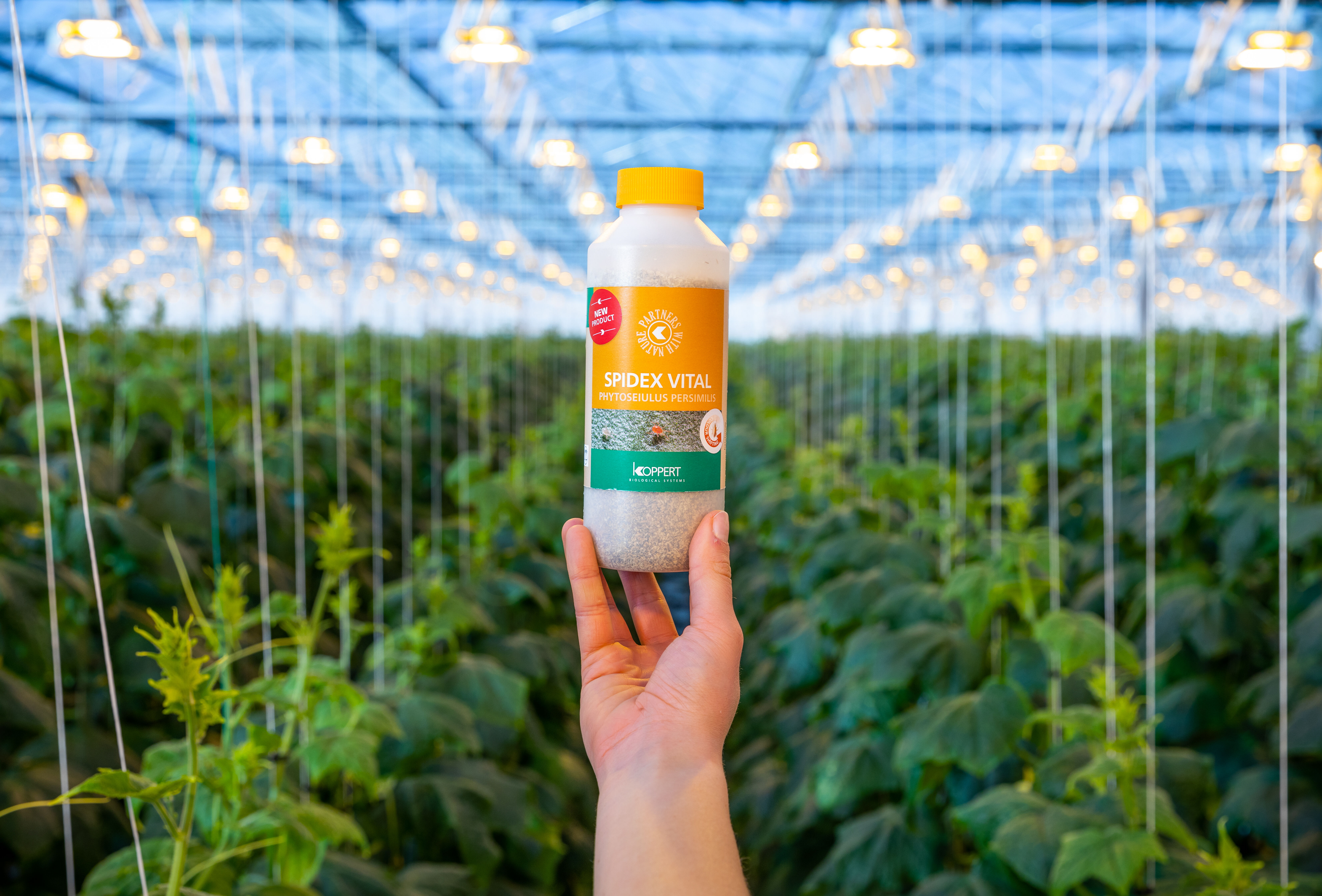 Biocontrol avanzado de la araña roja con Spidex Vital