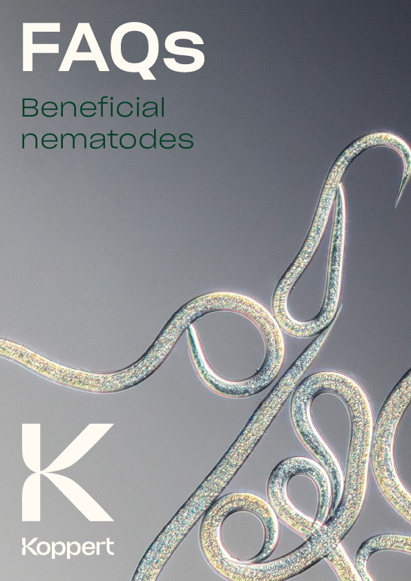 FAQ Nematodes