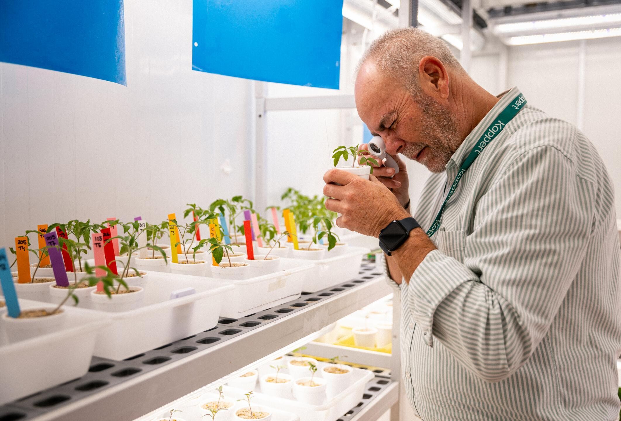 Transformando la protección de cultivos: el auge de los ácaros depredadores