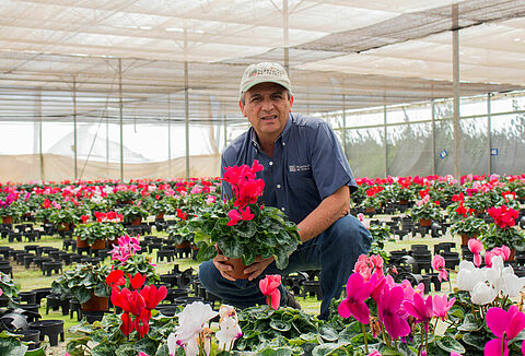 ¿Cómo Plántulas de Tetela redujo un 80% el uso de químicos?