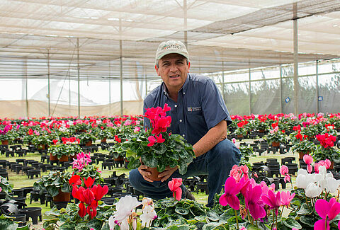 ¿Cómo Plántulas de Tetela redujo un 80% el uso de químicos?