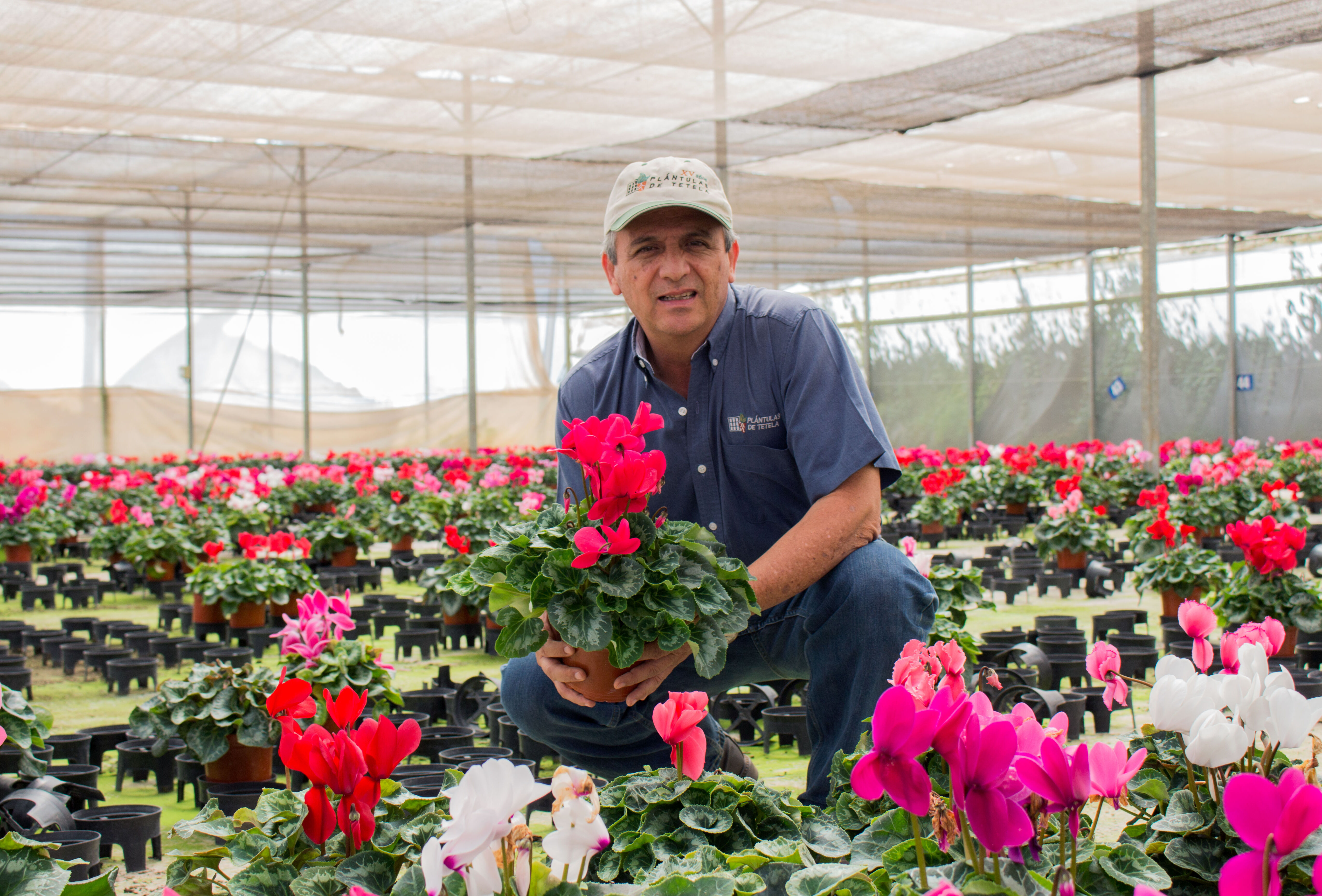 ¿Cómo Plántulas de Tetela redujo un 80% el uso de químicos?