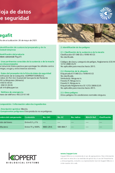 Hoja de Seguridad Pegafit