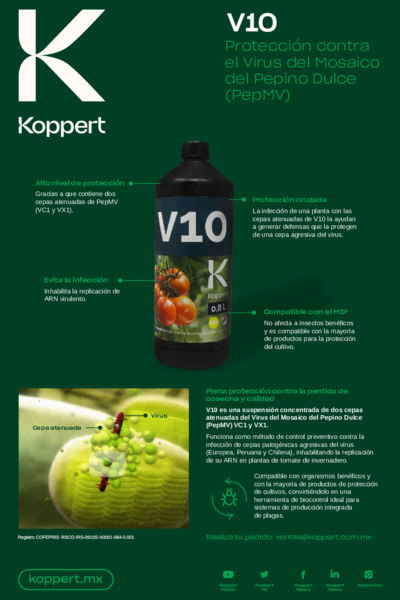 V10 Póster