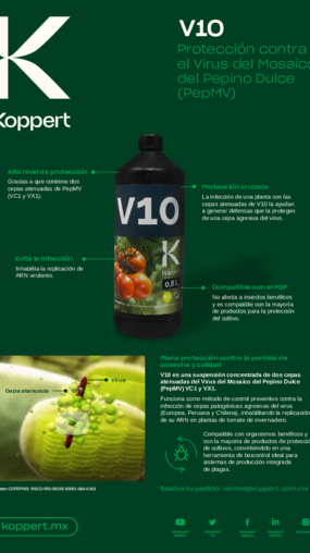 Póster V10
