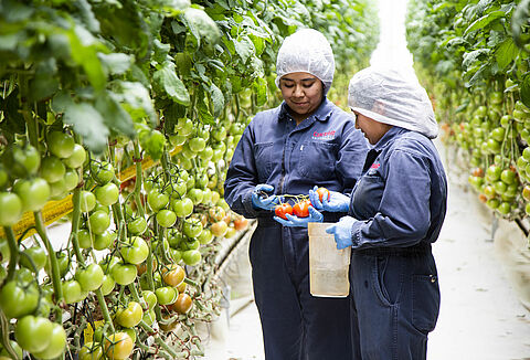 ¡Conoce la oferta educativa 2021 del Centro Universitario Ceickor!
