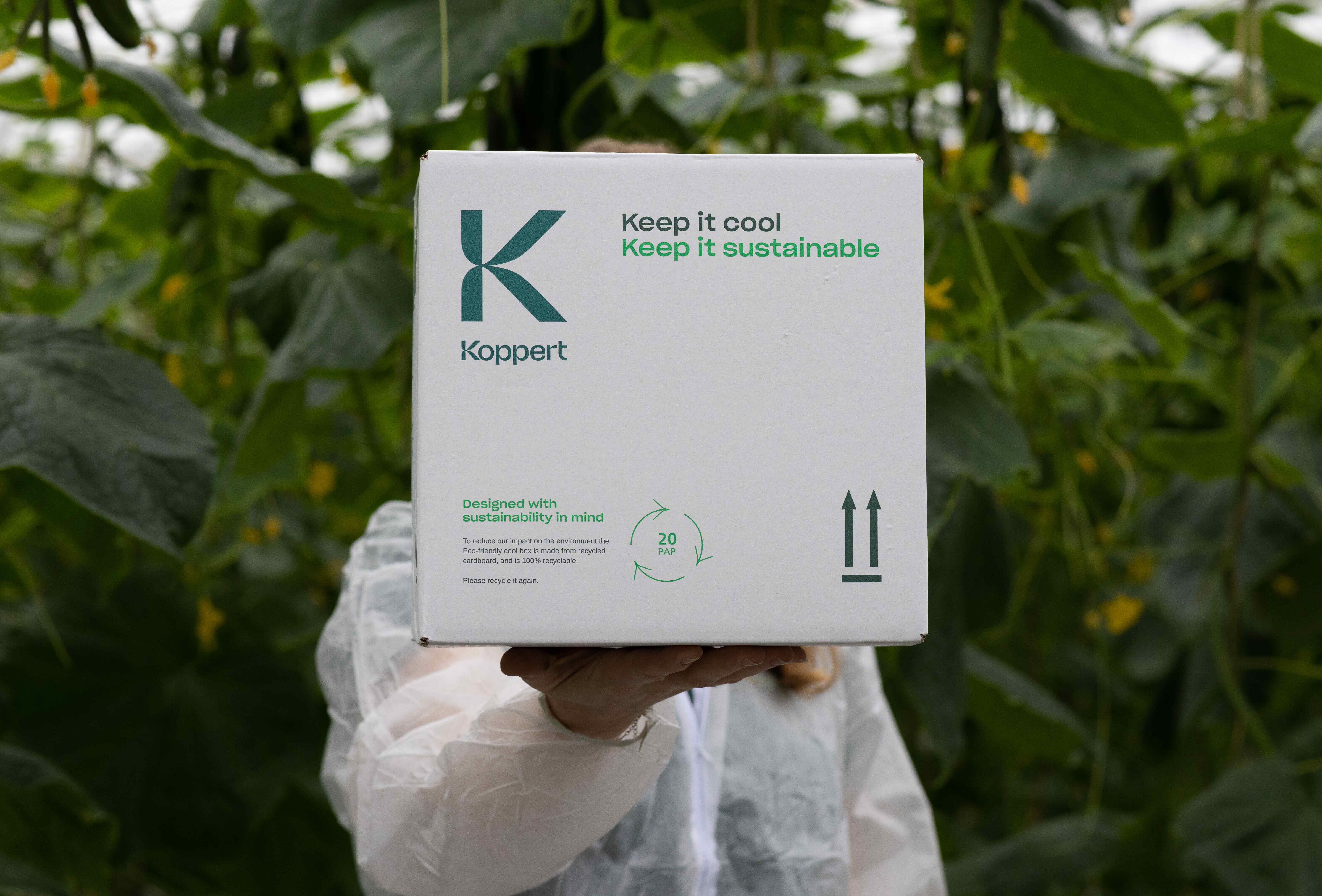 Celebramos el Día Mundial del Medio Ambiente reduciendo la contaminación plástica