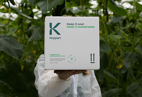 Celebramos el Día Mundial del Medio Ambiente reduciendo la contaminación plástica