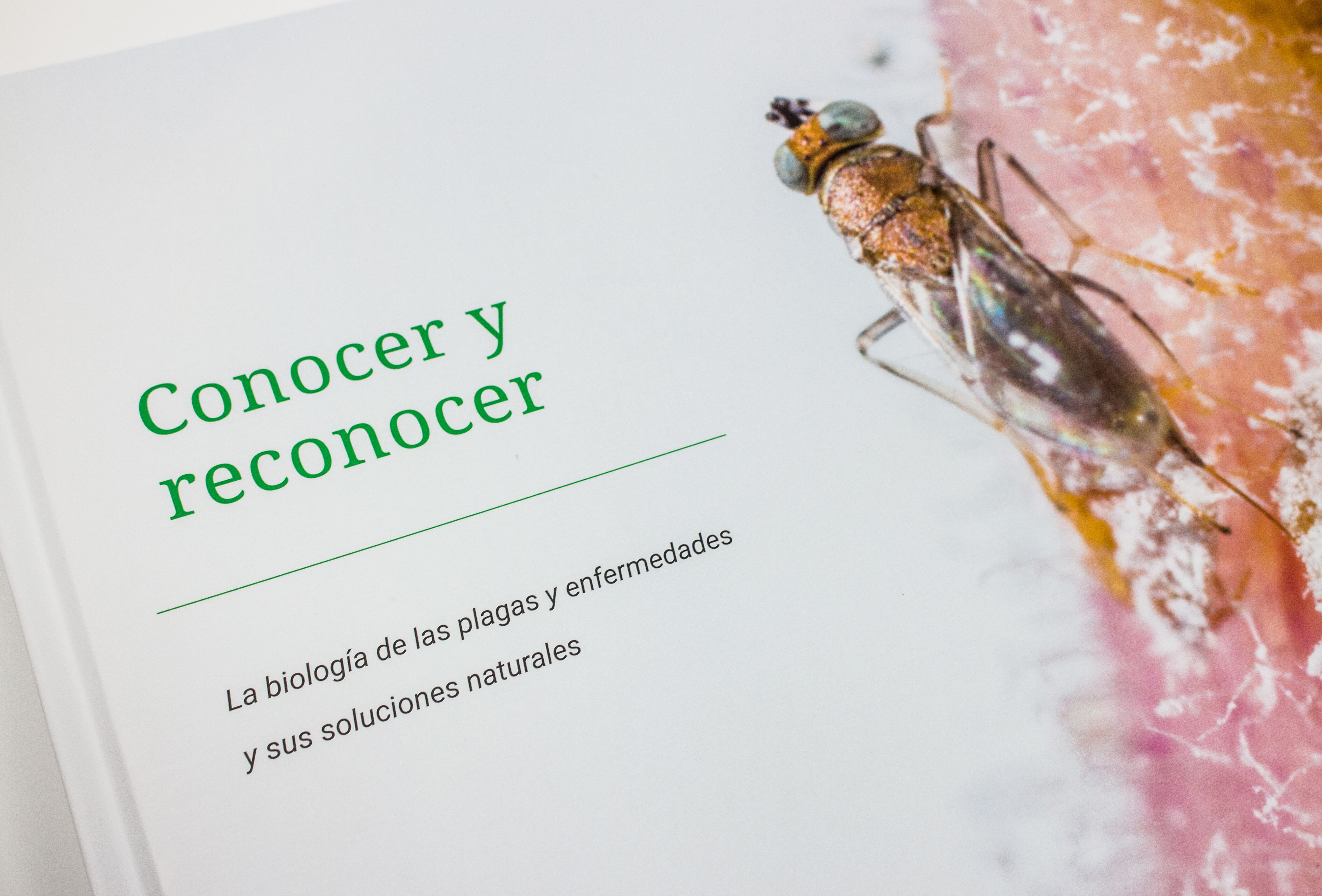 “Conocer y reconocer”: la guía práctica del conocimiento para el agricultor