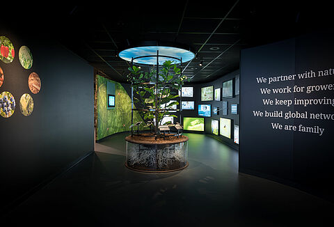 Centro de Experiencia