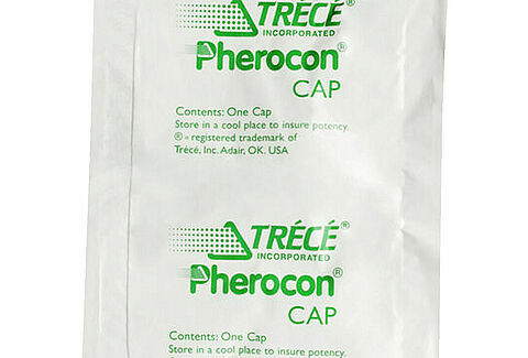 Pherocon DBM