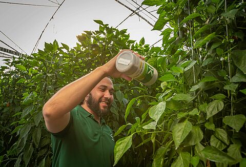 26 años acompañando la evolución de la agricultura mexicana