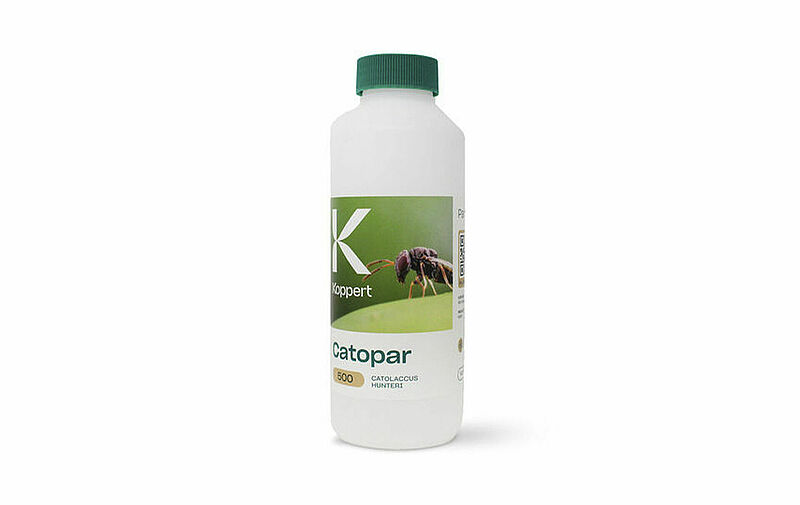 Botella_Catopar_horizontal_8903px.jpg