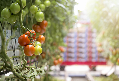 Abrimos nuestro centro de acopio para afectados por los sucesos naturales recientes