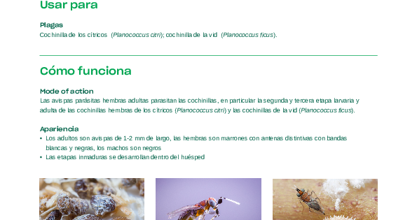 Citripar Ficha Técnica