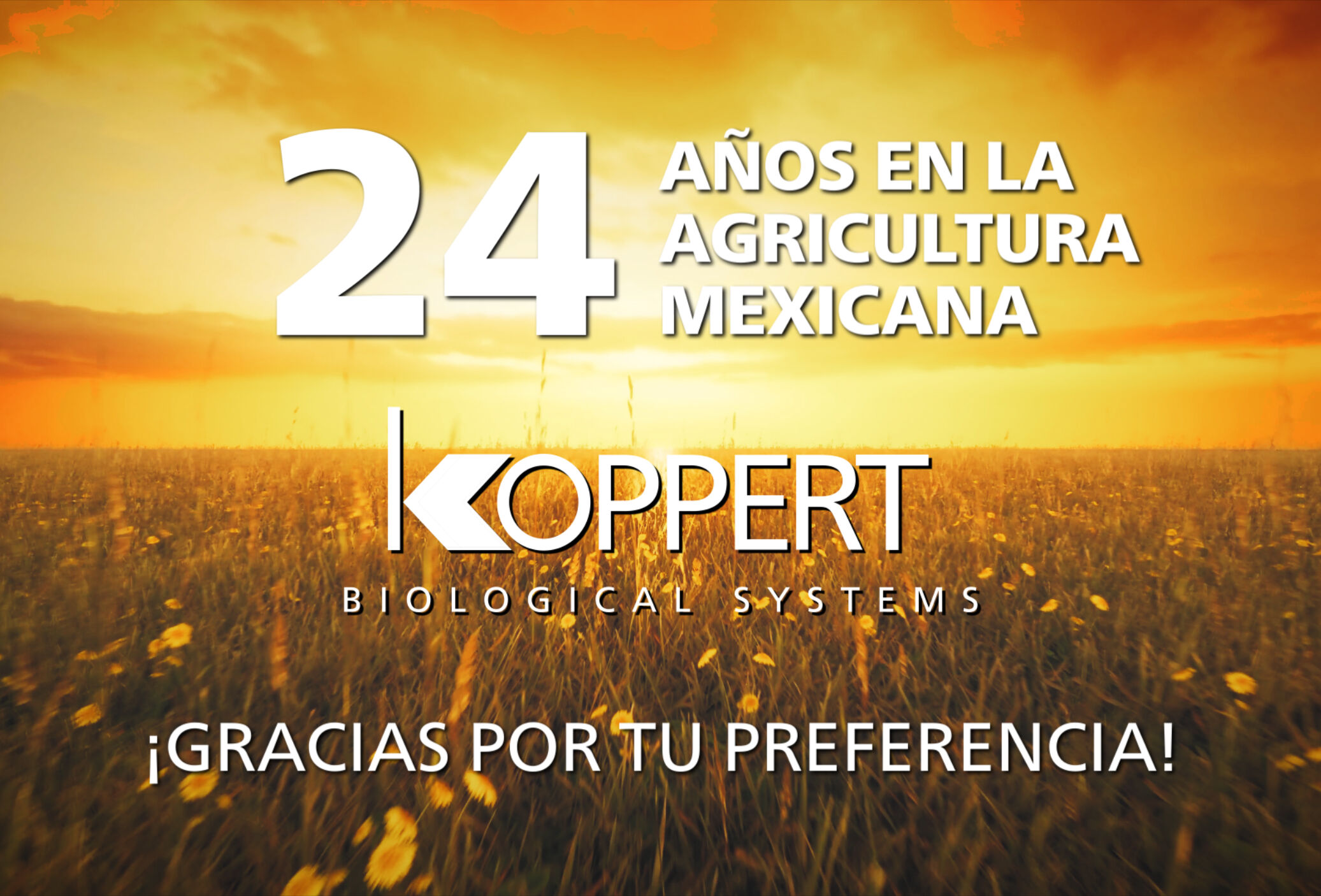 24 el 24, un septiembre para redoblar nuestro compromiso