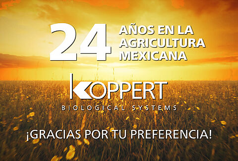 24 el 24, un septiembre para redoblar nuestro compromiso