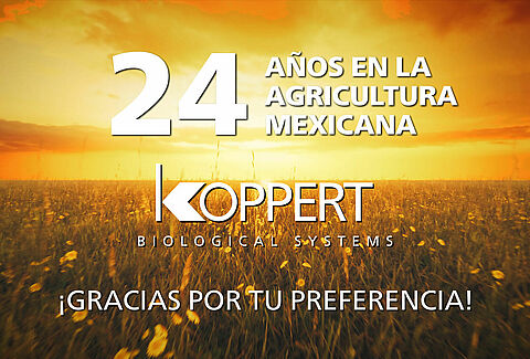 24 el 24, un septiembre para redoblar nuestro compromiso