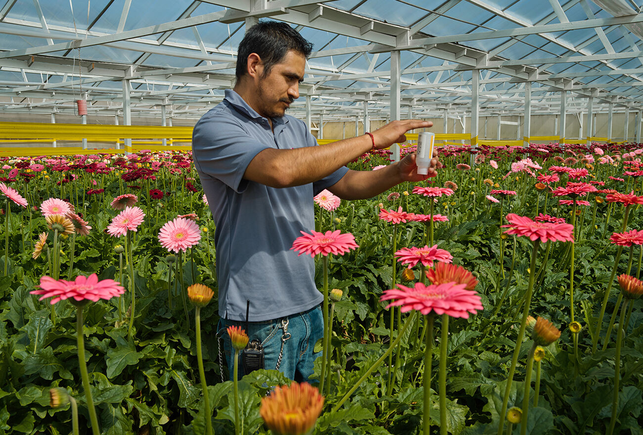 Los beneficios de un programa de Manejo Integrado de Plagas (MIP)