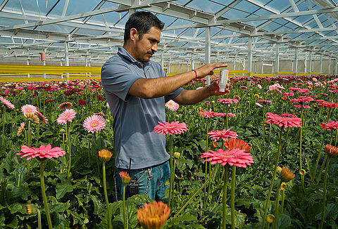 Los beneficios de un programa de Manejo Integrado de Plagas (MIP)