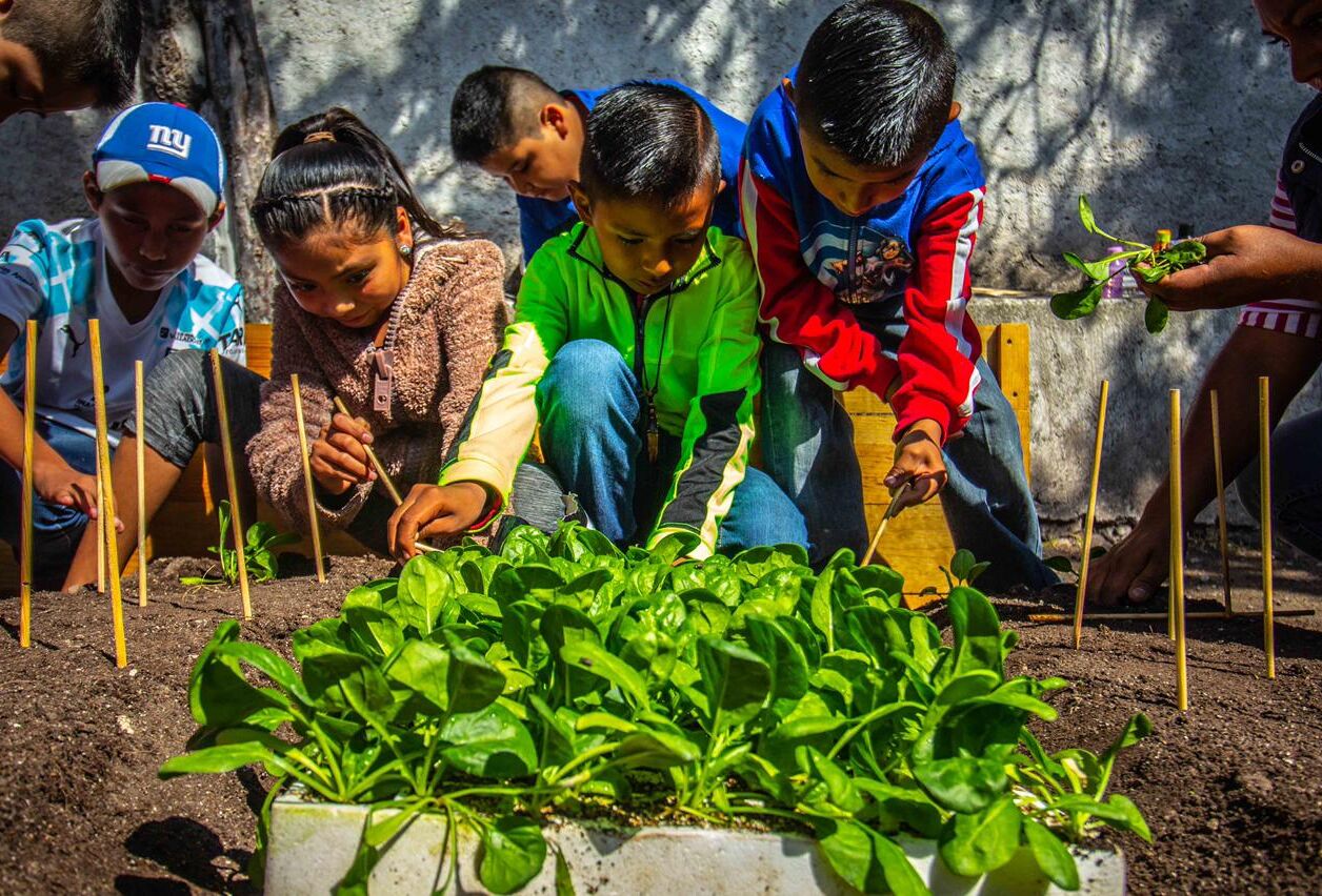 Koppert México es socialmente responsable por 13 años seguidos