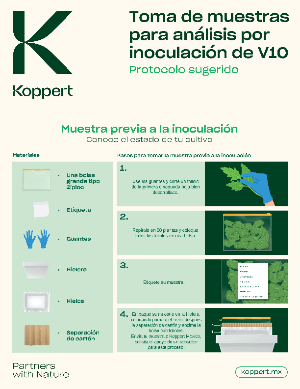 Manual toma de muestras V10