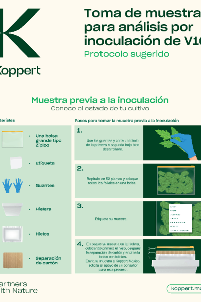 Manual toma de muestras V10