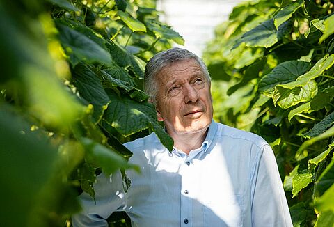 Cómo un pequeño ácaro depredador sentó las bases del biocontrol actual