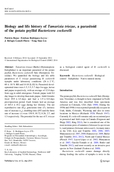 Biology and life history of Tamarixia triozae - Biocontrol