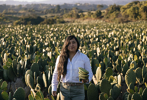 La experiencia marca la diferencia en el biocontrol