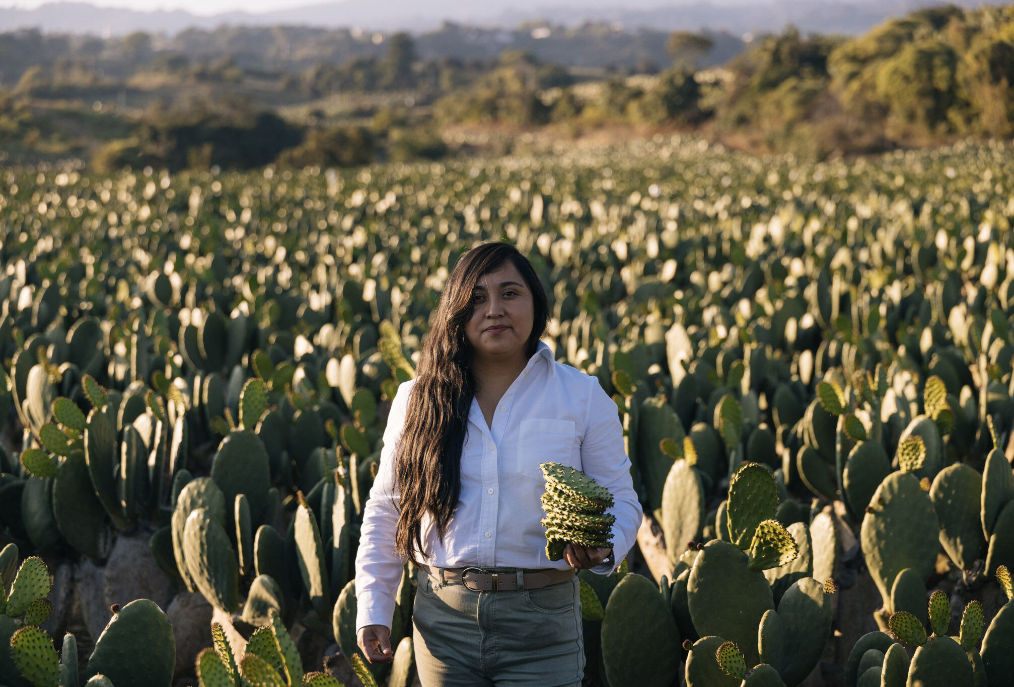 La experiencia marca la diferencia en el biocontrol