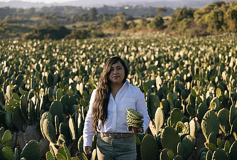 La experiencia marca la diferencia en el biocontrol
